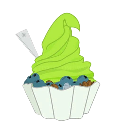 Android 2.2 Logo